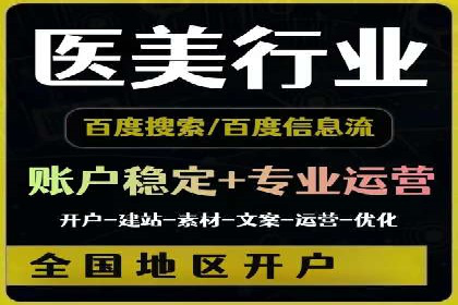 百度竞价广告投放策略：案例分析及效果评估